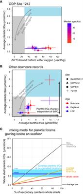 Commentary: Planktic foraminifera iodine/calcium ratios from plankton tows